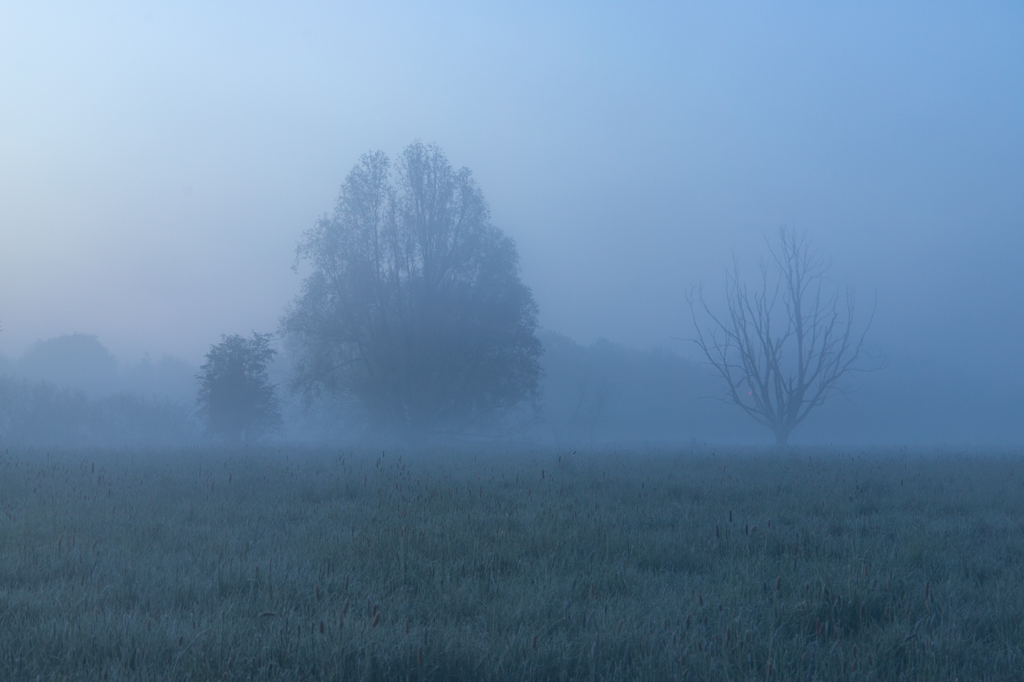 Grantchester misty morning