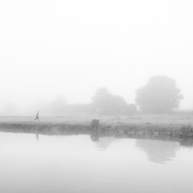 I had no luck seeing the barn owl on this morning in August 2022, so tried some landscapes with the mist instead.