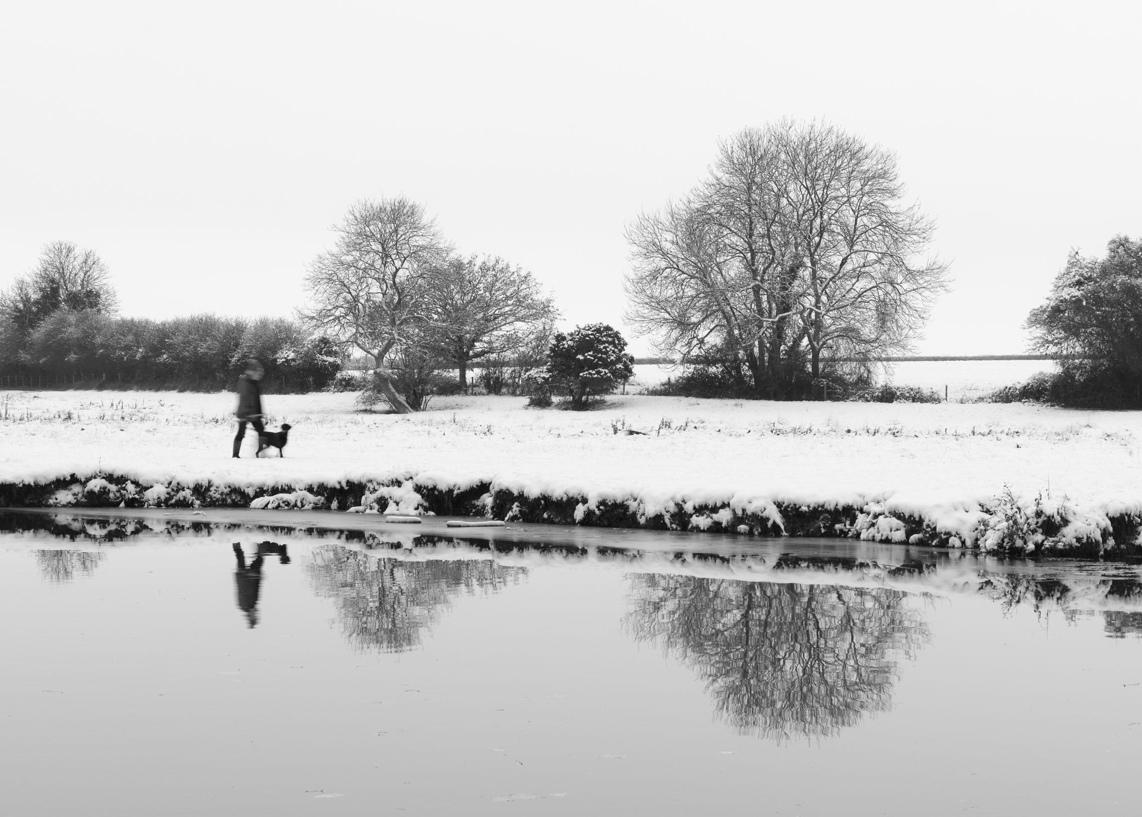 I spent some time here in December 2022 trying to get a photo of walkers in the snow, with the two trees. This one worked nicest in terms of position of the walker, and the dull sky meant there wasn't much colour so I thought black and white would be best.