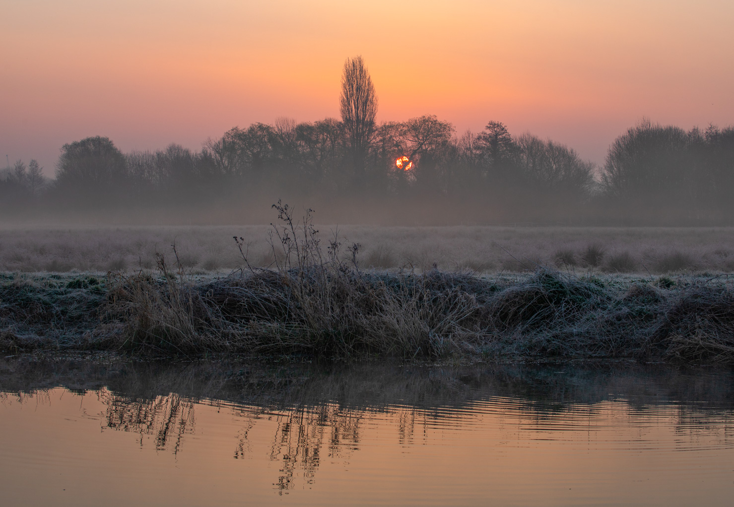I arrived at Grantchester meadows on a cold March morning in 2022 with the intention of photographing the barn owl, but had to capture the colours of this beautiful sunrise, aided by the slight haze on the horizon which reduced the glare from the sun. One of my favourite photos, I have a print of this up on my wall.